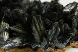 Dark-Green Vivianite Crystals On Goethite - Ukraine #315594-1